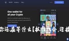 NMS蜂池区块链：你还在等