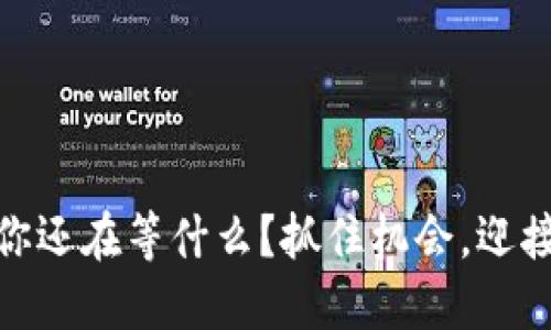 NMS蜂池区块链：你还在等什么？抓住机会，迎接未来的金融革命！