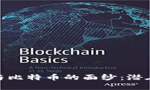 揭开区块链与比特币的面纱：潜在风险与机遇