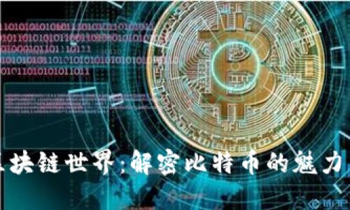 探索区块链世界：解密比特币的魅力与未来