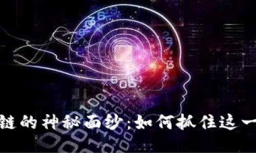 设计  
揭开比特币区块链的神秘面纱：如何抓住这一数字黄金的浪潮