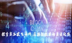 探索新加坡飞币网：区块