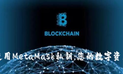 如何安全使用MetaMask私钥：您的数字资产保护指南