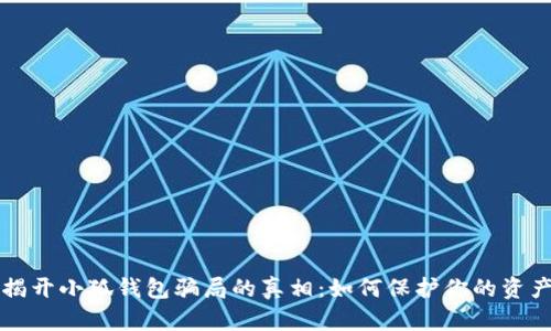 揭开小狐钱包骗局的真相：如何保护你的资产