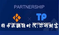 拥抱比特币区块链时代：