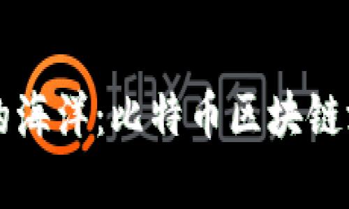 畅游数字财富的海洋：比特币区块链游览器下载指南