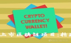 探秘2023最新上市区块链项