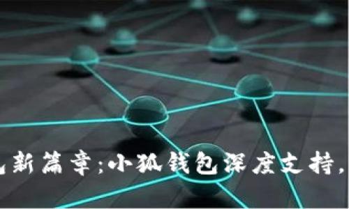 开启数字钱包新篇章：小狐钱包深度支持，畅享支付自由
