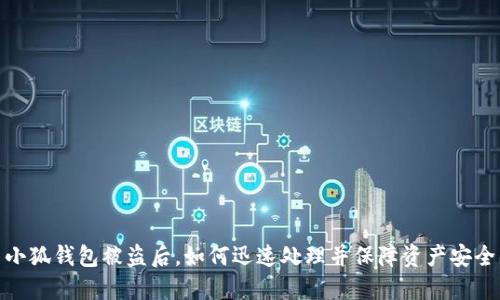 小狐钱包被盗后，如何迅速处理并保障资产安全