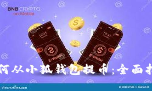 如何从小狐钱包提币：全面指南