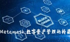 Metamask：数字资产管理的桥