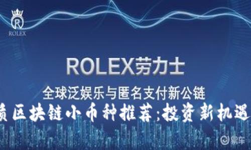 2023年优质区块链小币种推荐：投资新机遇与风险分析