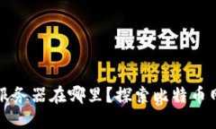 比特币区块链服务器在哪