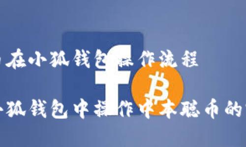 中本聪币在小狐钱包操作流程

如何在小狐钱包中操作中本聪币的完整流程