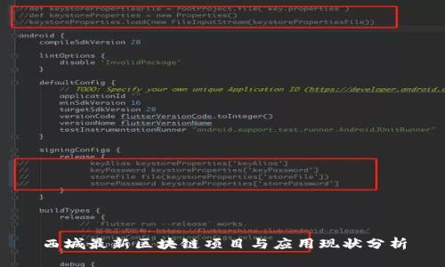 西城最新区块链项目与应用现状分析