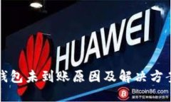 小狐钱包未到账原因及解