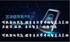 听狐狸的钱包：探索自然