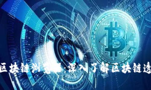 探索Polkadot币区块链浏览器：深入了解区块链透明性与数据获取