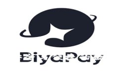 币圈小狐钱包：安全与便