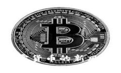 区块链太子币：加密货币