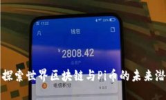 : 探索世界区块链与Pi币的
