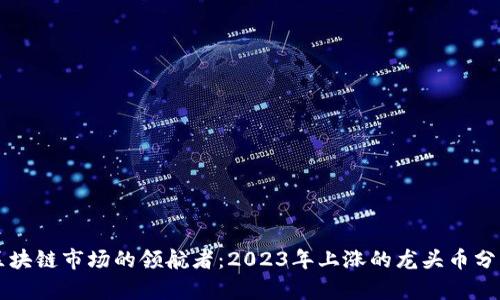 区块链市场的领航者：2023年上涨的龙头币分析