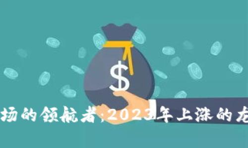 区块链市场的领航者：2023年上涨的龙头币分析