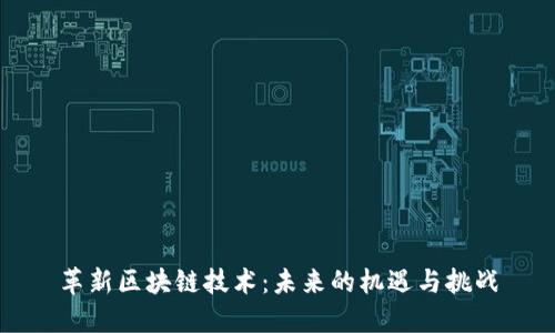 革新区块链技术：未来的机遇与挑战