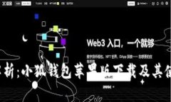  全面解析：小狐钱包苹果