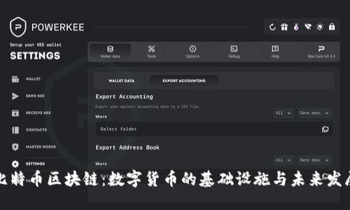 比特币区块链：数字货币的基础设施与未来发展