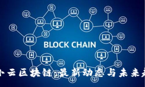 :
王小云区块链：最新动态与未来趋势