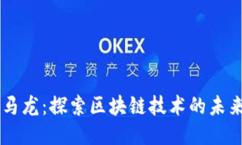 区块链马龙：探索区块链技术的未来与应用