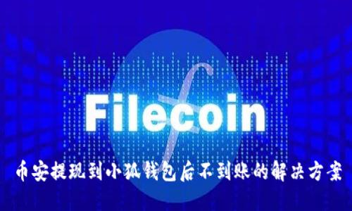 币安提现到小狐钱包后不到账的解决方案