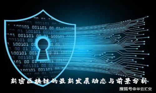 新密区块链的最新发展动态与前景分析